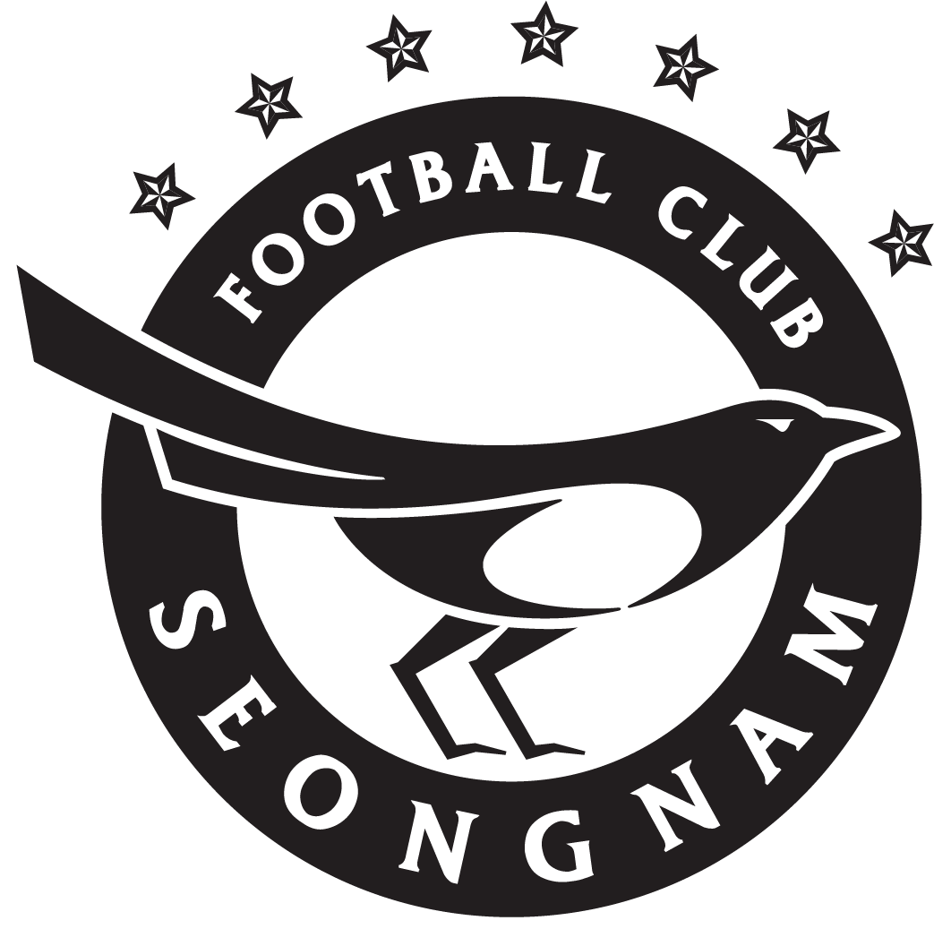 Seongnam FC Logo